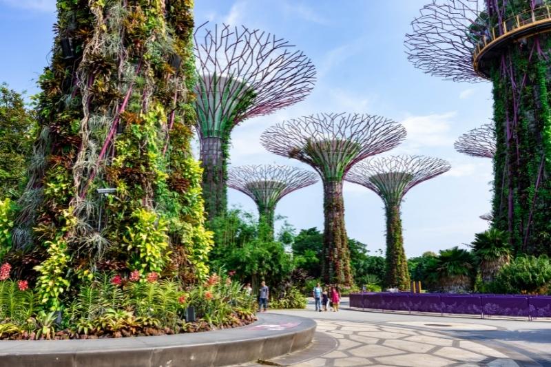 Garden Bay the Bay Singapore