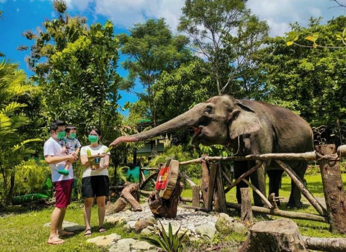 Kebun Binatang Gembira Loka menjadi destinasi favorit paket wisata keluarga Jogja