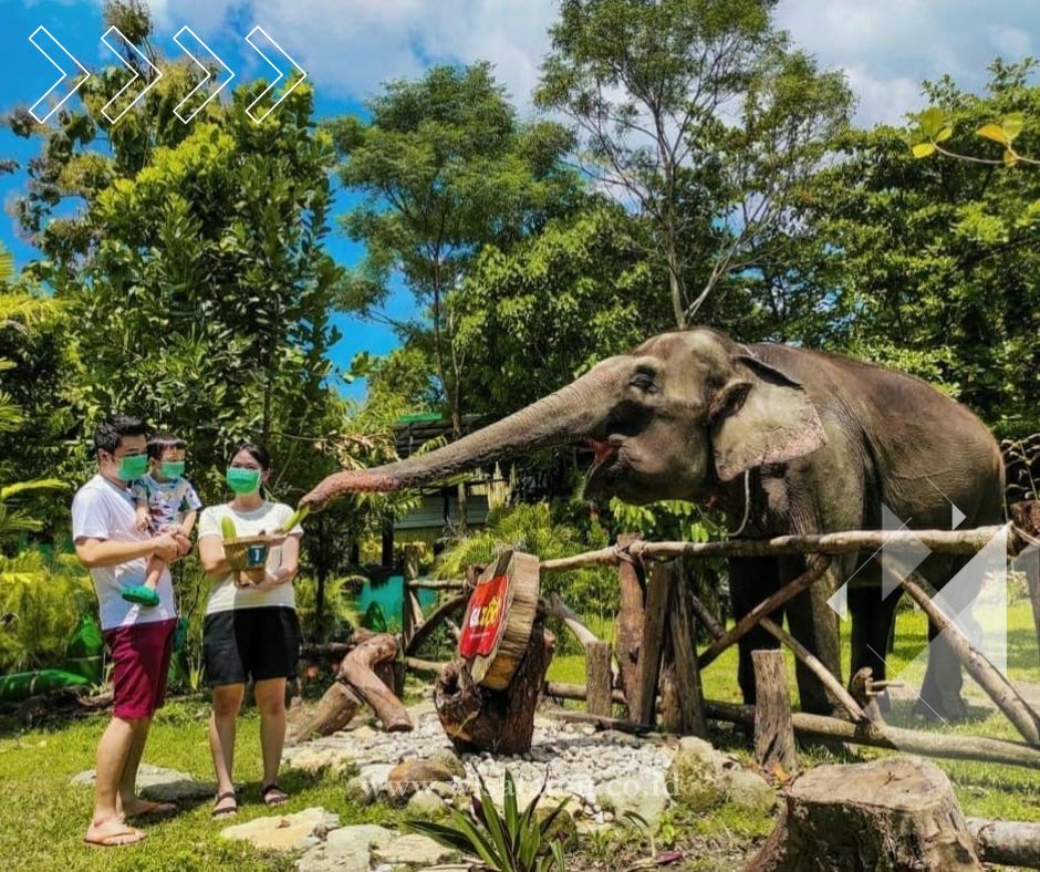 3 Wisata Jogja Terbaik untuk Keluarga