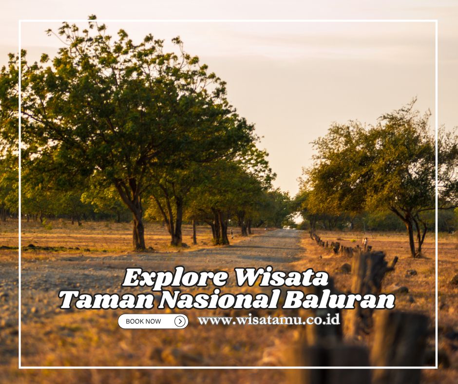 Explore Wisata Baluran dengan Jeep, Berani Coba?