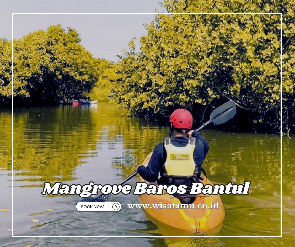 Cari Tempat Seru di Bantul? Mangrove Baros Jawabannya!
