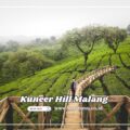 Kuneer Hill Destinasi Wisata Alam yang Sejuk di Malang