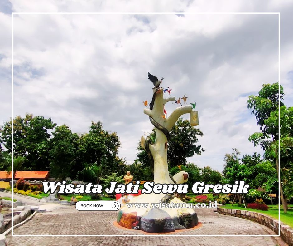 Wisata Jati Sewu, Panduan Lengkap saat Berkunjung