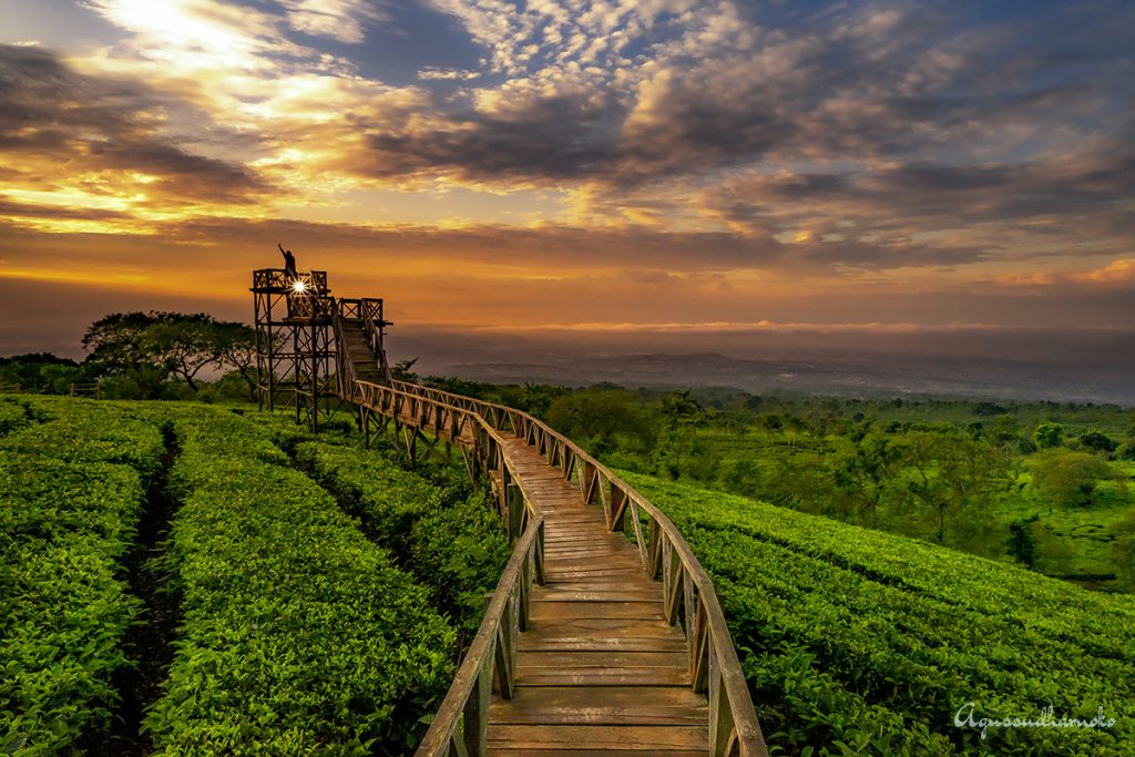 keindahan bukit kuneer malang-wisatamu