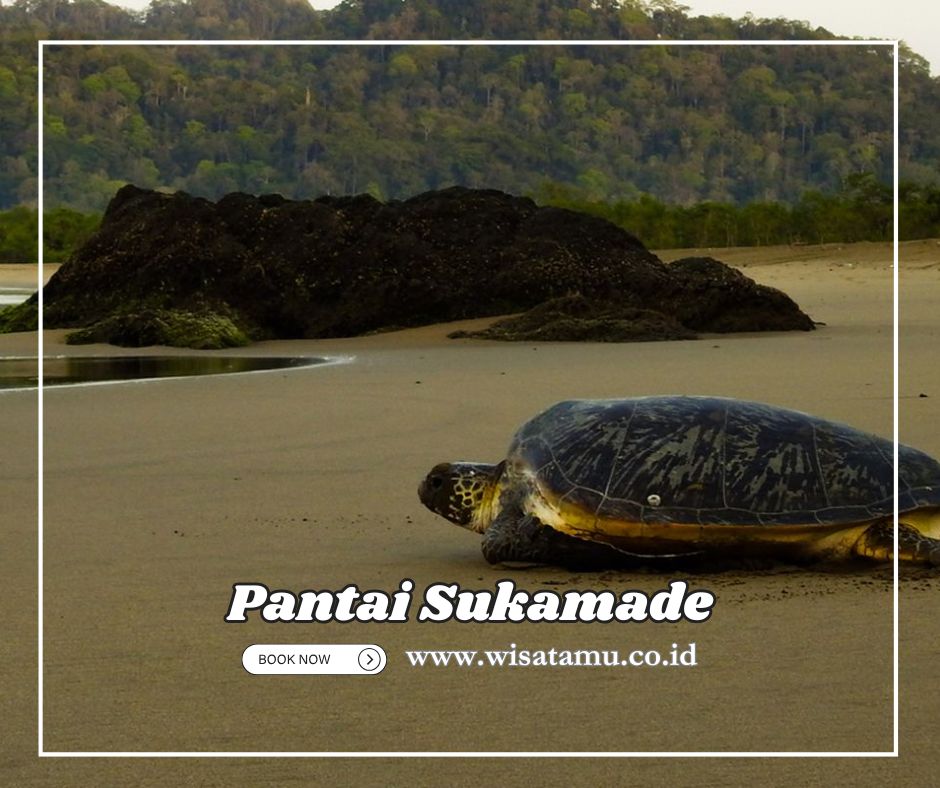 Pantai Sukamade, Pesona Habitat Penyu yang Menawan