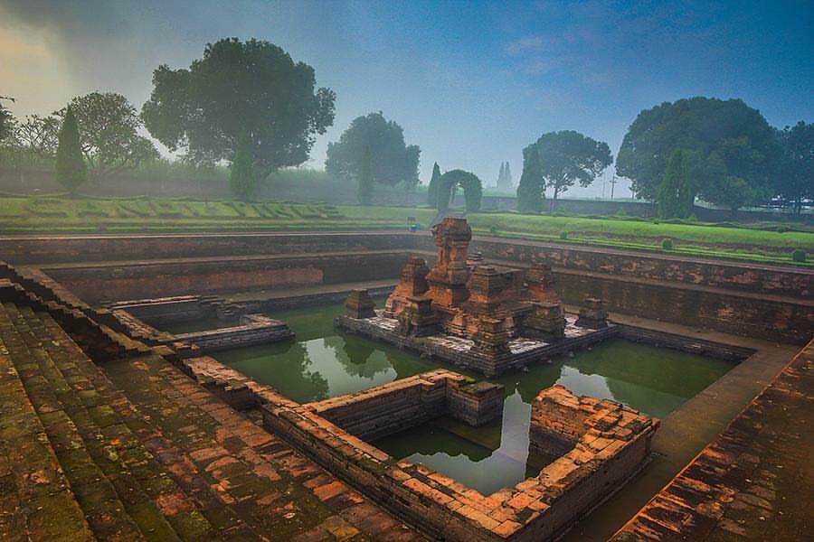 candi tikus