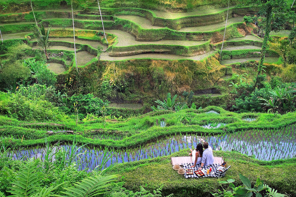 wisata ubud untuk honeymoon