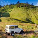 5 Aktivitas di Bromo yang Paling Diminati Wisatawan, Sudah Pernah Coba?