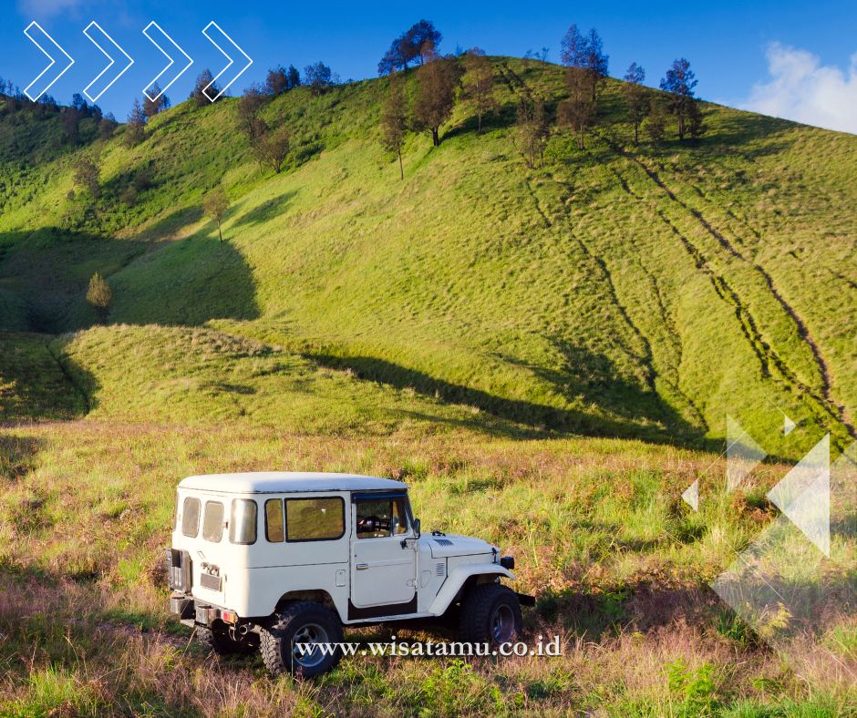 5 Aktivitas di Bromo yang Paling Diminati Wisatawan, Sudah Pernah Coba?