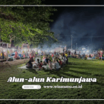 Alun-alun Karimunjawa dan 5 Aktivitas Seru yang Bisa Dilakukan