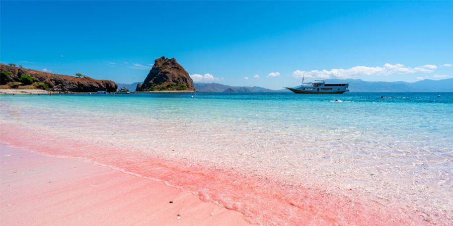 pantai pink labuan bajo