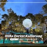 5 Alasan Heha Forest Kaliurang Cocok untuk Liburan di Akhir Pekan