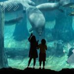 Rekomendasi Wisata di Singapore untuk Anak dan Keluarga