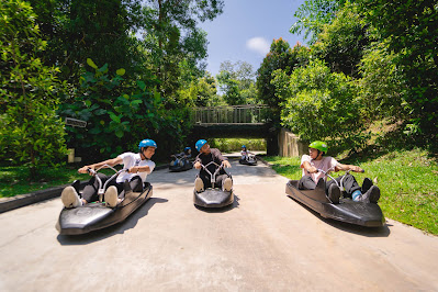 Skyline Luge Singapore