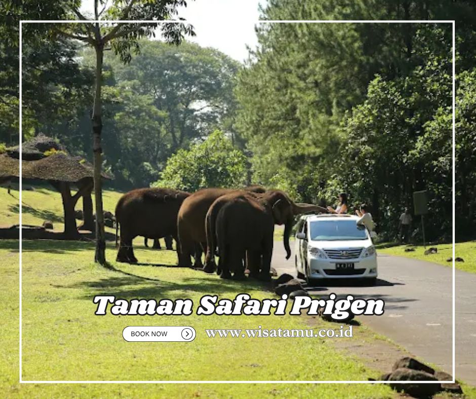 Taman Safari Prigen, Rekomendasi Wisata Pasuruan untuk Anak