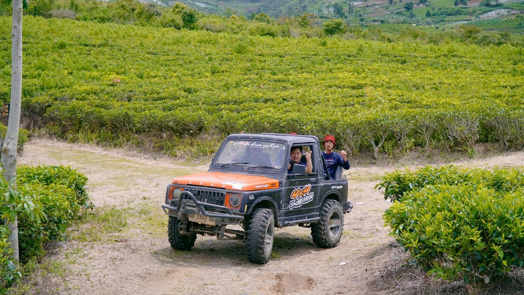 Paket Wisata Jeep Kemuning menyusuri area kebun teh